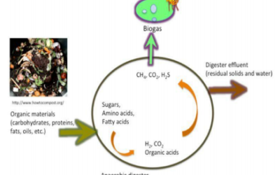 Progetto di Ingegnerizzazione del ceppo Methanococcus jannaschii