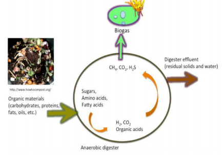 Progetto di Ingegnerizzazione del ceppo Methanococcus jannaschii